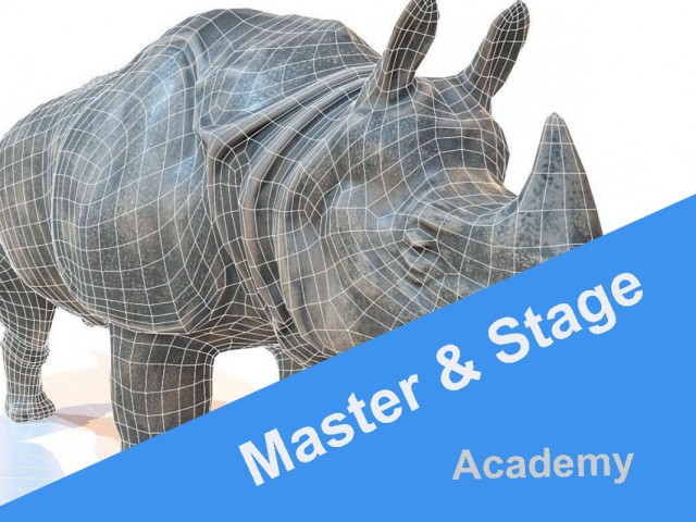 Master in Rhinoceros