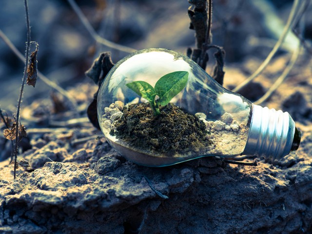 Gestione Ambiente e sostenibilità